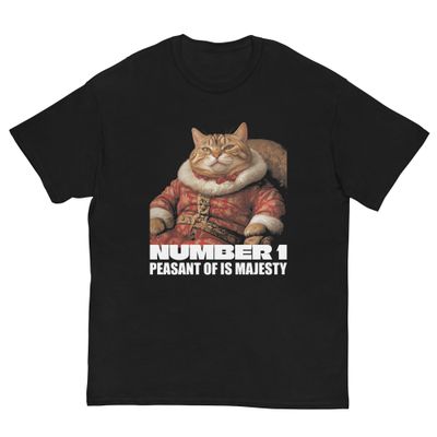 Funny Christmas King Cat Unisex t-shirt