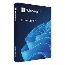 Microsoft Windows 10 &amp; 11 Pro Keys – Instant Delivery, 1PC License