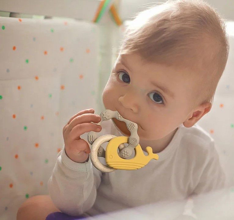Silicone Whale Teether