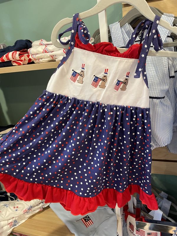 AMERICAN PUPPY FLAG DRESS