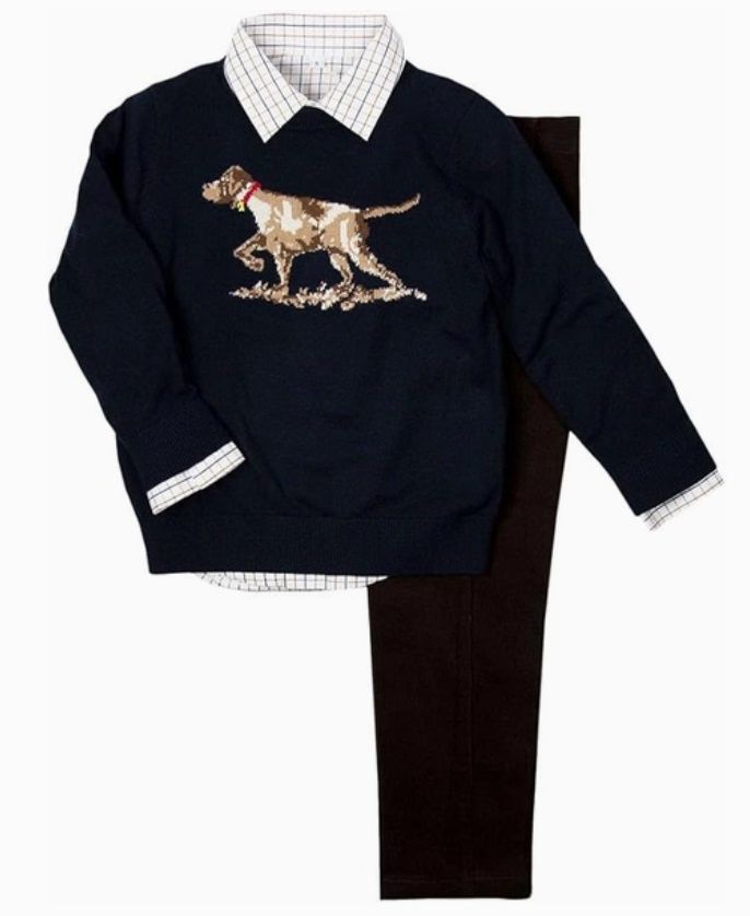 Pointer Dog Sweater Set