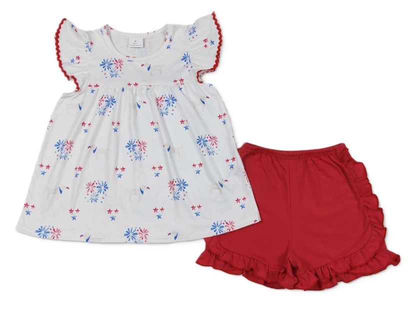 Puppy Fireworks Set, Size: 2T
