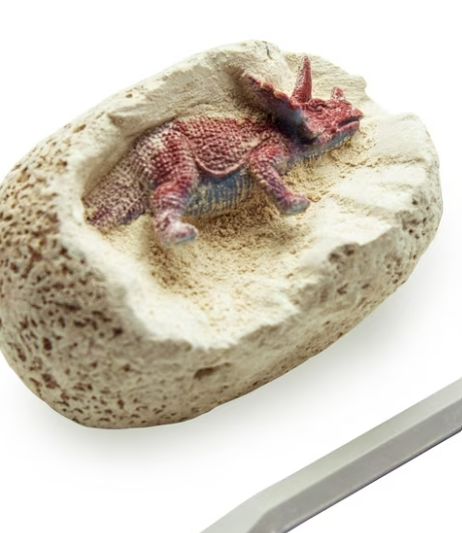 Dino Fossil Egg