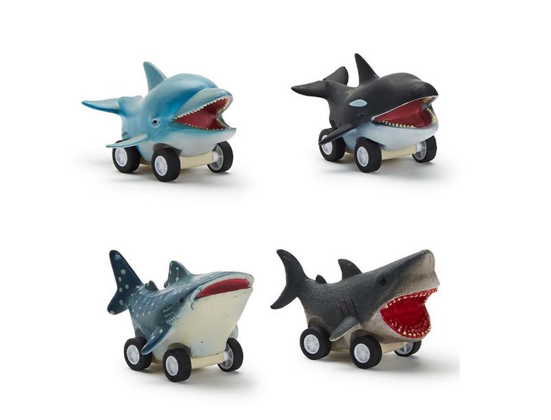 Reef Racers