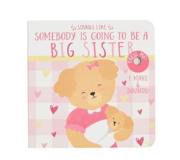 Sounds Like Somebody is Going to be a Big Sister