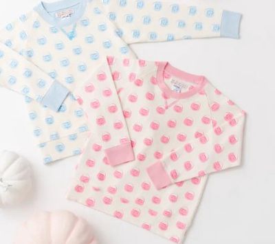 Cassidy Comfy Crewneck-Vintage Prep Pumpkin Pails Pink