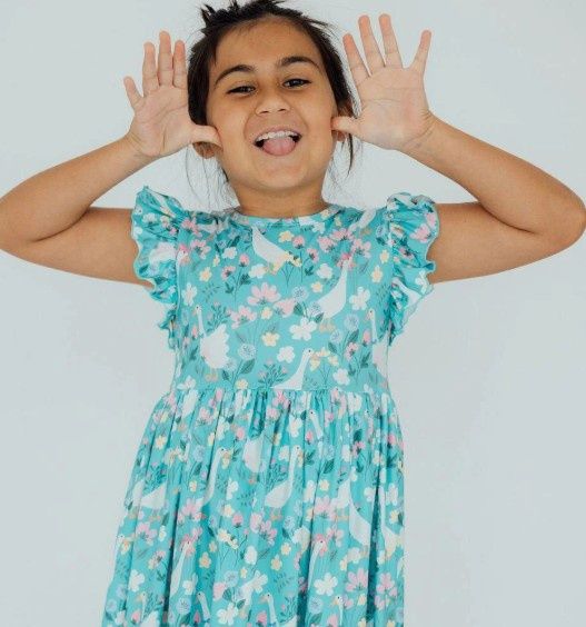 Silly Goose Flutter Sleeve Twirl Dress