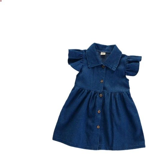 Denim Ruffle Sleeve Dress