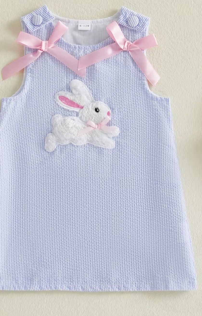 Blue Seersucker Bunny Dress