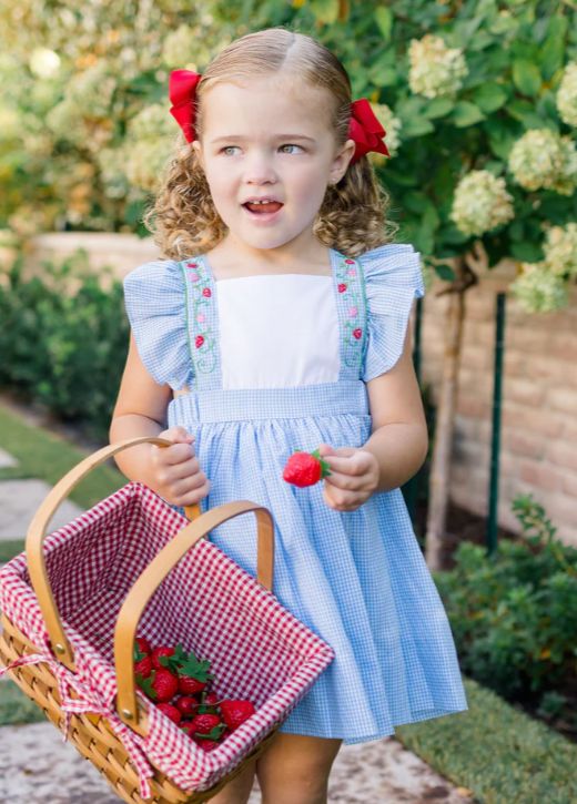 Proper Peony- Bryar Bee Pinafore Dress