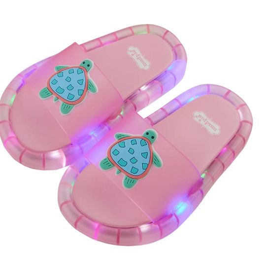 Light Up Turtle Slides