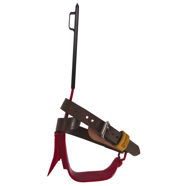 Bashlin BD16B Steel Climbers-Regular Pole or Tree Gaffs