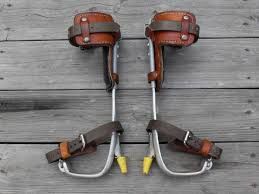 Bashlin Tree Climbers Set BD14BT-2N