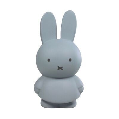 Sparkasse &amp; Led Lampe