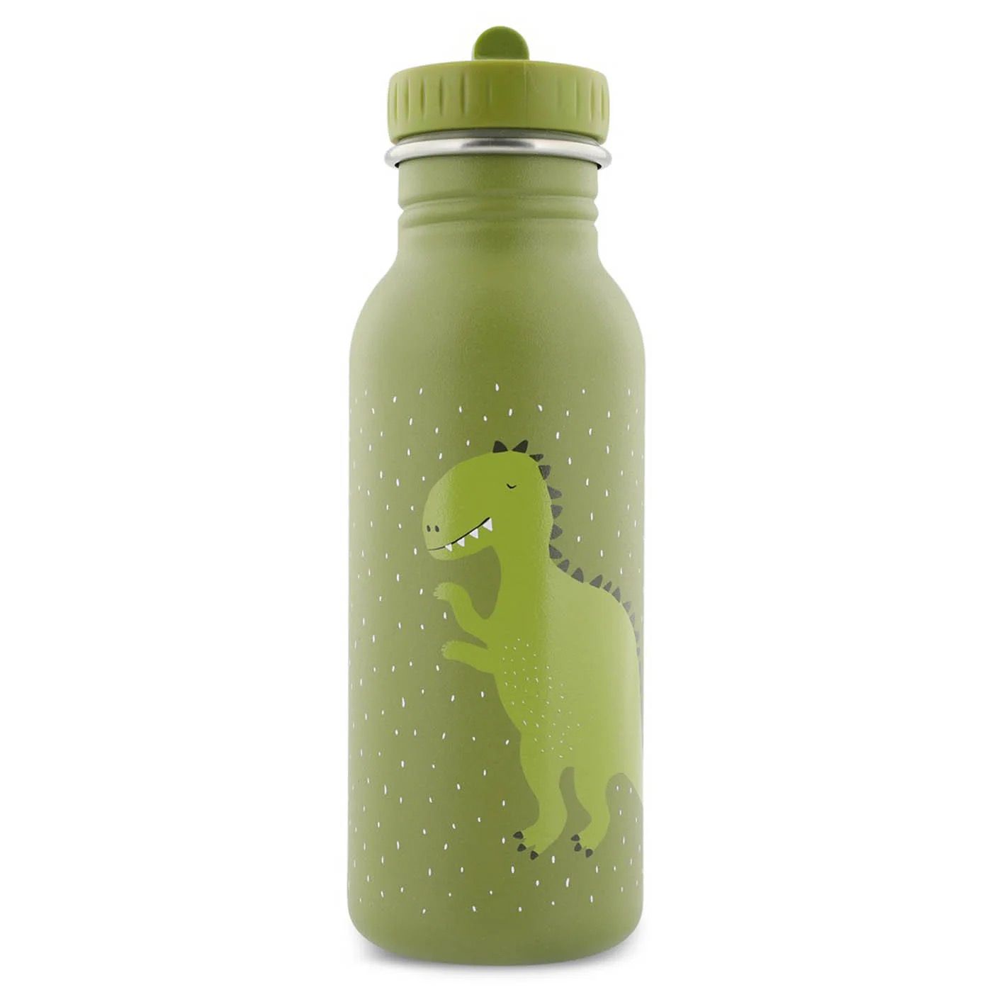 Trinkflasche 500ml - Mr. Dino