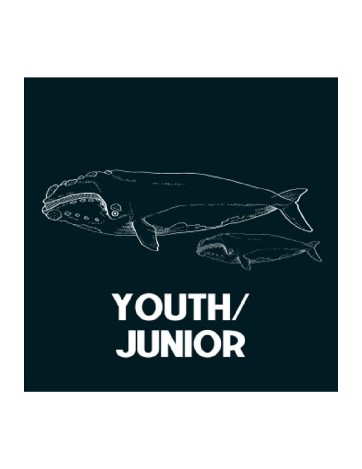 Youth membership