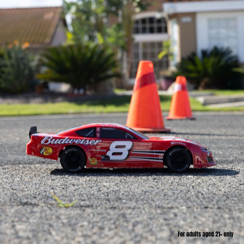 1/12 Losi Asphalt Late Model Dale Earnhardt Jr. No. 8 2025 Budweiser Chevrolet ZL1 2S AWD On-Road (Battery &amp; Charger Included), Red