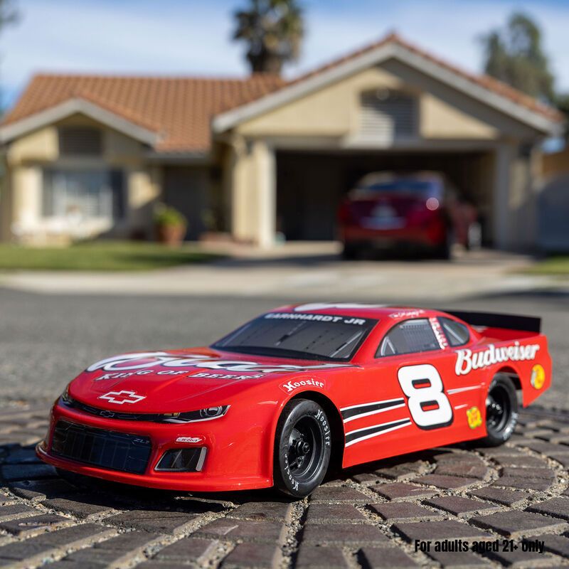 1/12 Losi Asphalt Late Model Dale Earnhardt Jr. No. 8 2025 Budweiser Chevrolet ZL1 2S AWD On-Road (Battery &amp; Charger Included), Red