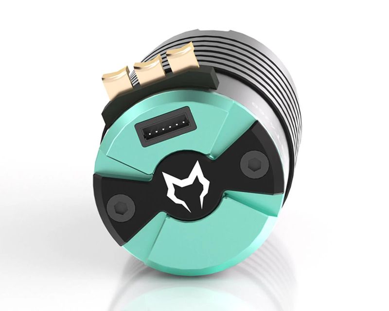Cayote Crest 4268 1/8 Sensored Brushless Motor (2000kV) (IFMAR)