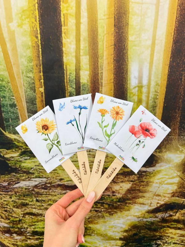 Blumen am Stiel | 4 verschiedene Sorten | Nachhaltiges Geschenk für jeden Anlass