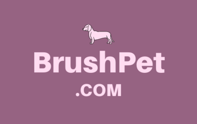 BrushPet .com is for sale