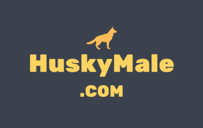 HuskyMale .com is for sale