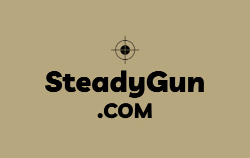 SteadyGun .com is for sale