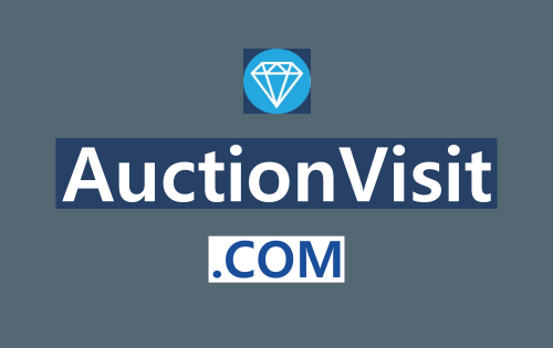 AuctionVisit .com is for sale