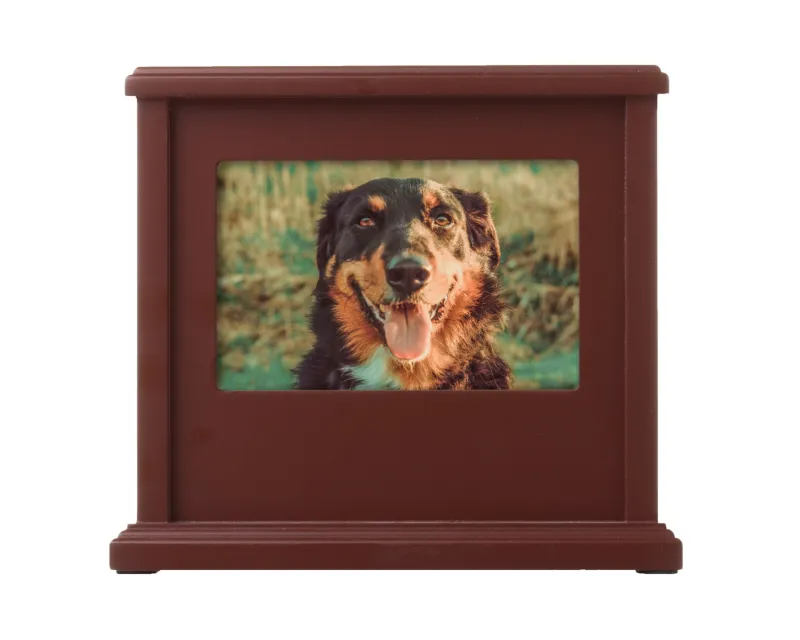 Pet Photo Keepsake Memory Box Urn