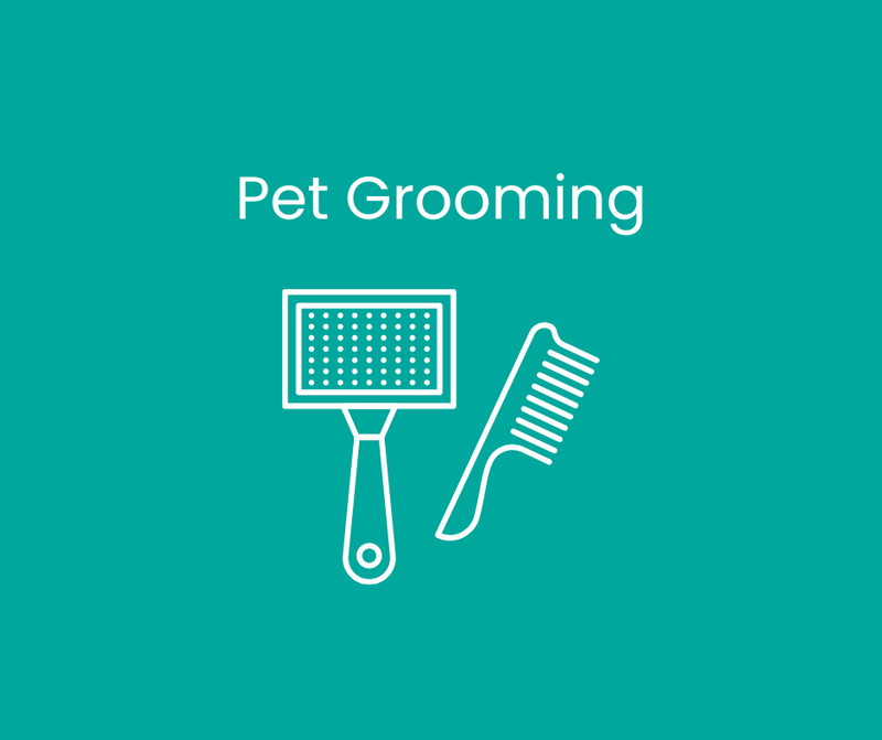 Pet Grooming
