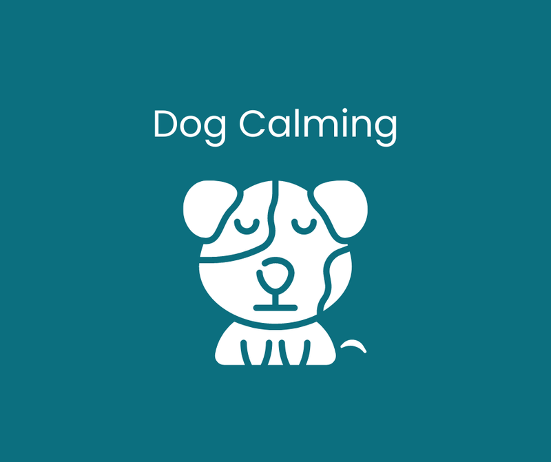 Dog Calming