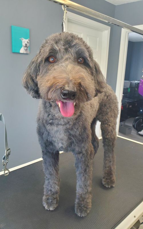 101+ LBS Full-service haircut