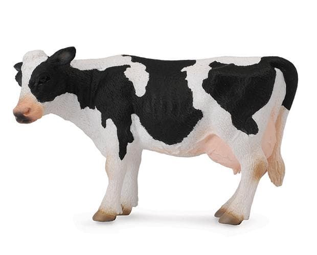 Friesian Cow