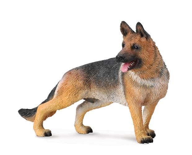 German Shepherd