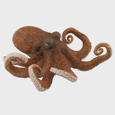 Octopus
