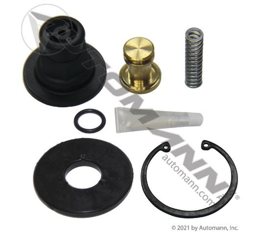 ADSP Type Purge Valve Kit  109995 / R955109995N