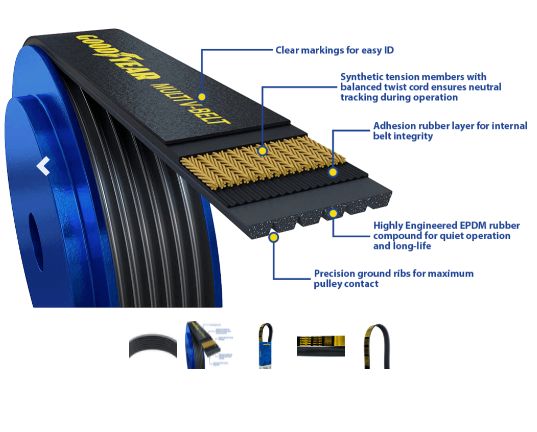 GOODYEAR Serpentine Belt 1080560  K Profile, 8 Ribs, 56&quot;