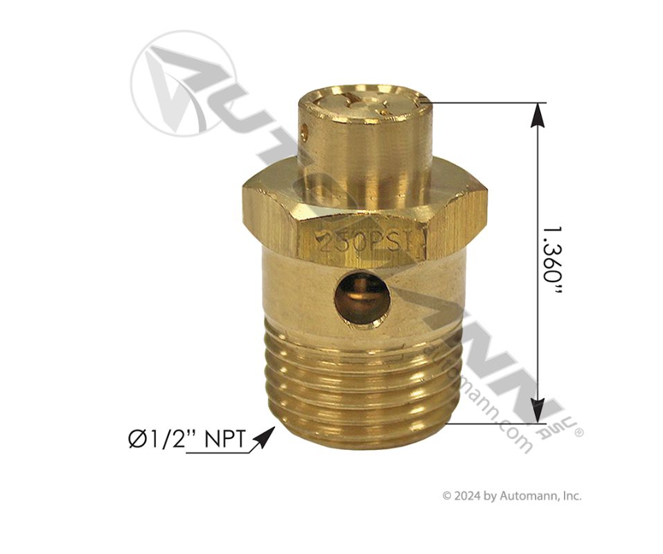 ST4 Type Safety Valve 250 PSI /170.131081 / R955131081N