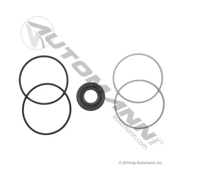 Steering Pump Kit/465.4103