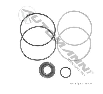 Steering Gear Kit /465.4104