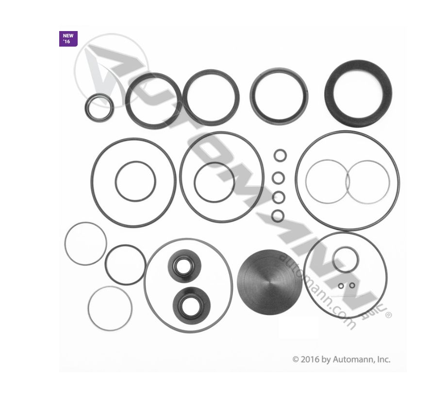 Steering Gear Kit /465.4049