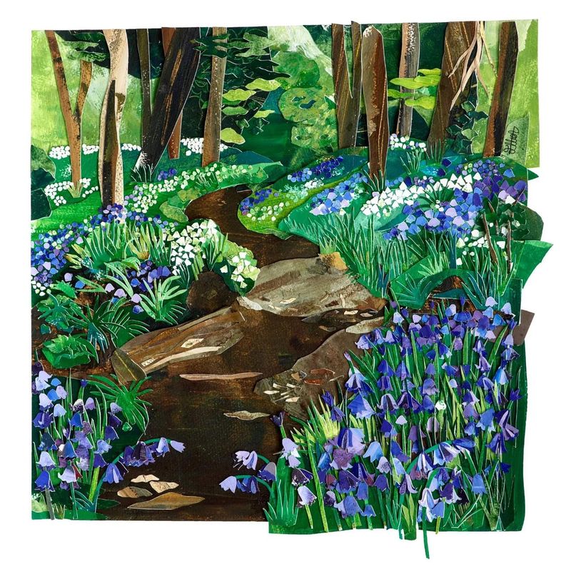 Bluebell Woods Print by Ellie Atkinson