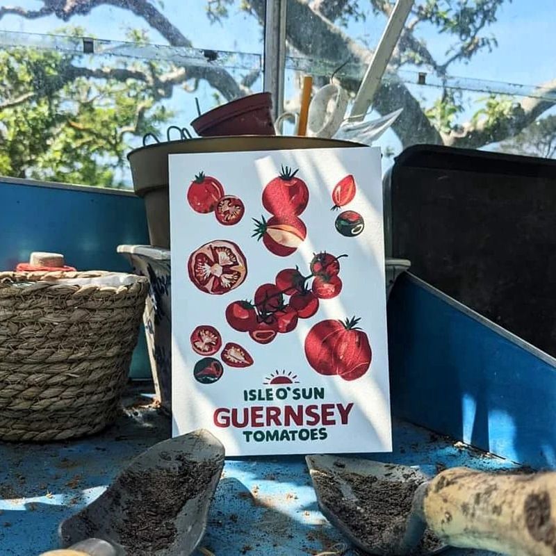 Guernsey Tomatoes Print by Ellie Atkinson