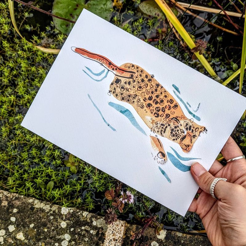 Swimming Leopard Print by Ellie Atkinson