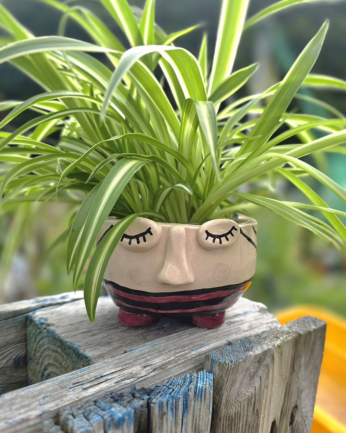 Craft with Clay: Ceramic Planter