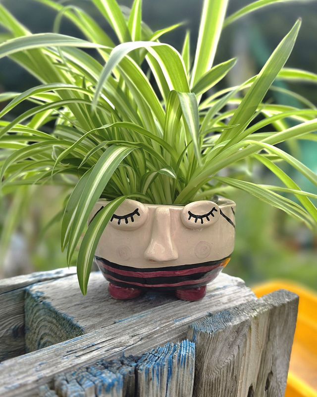 Craft with Clay: Ceramic Planter