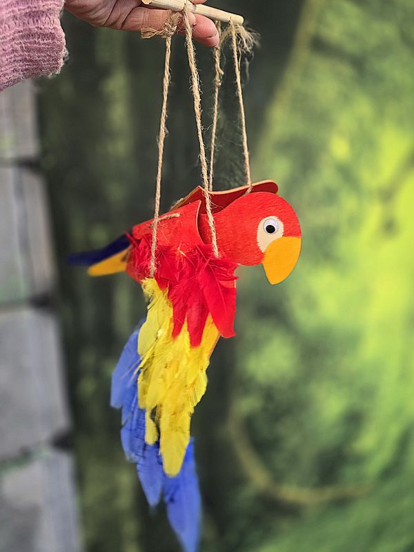 Make a Parrot Puppet with our Pirate - Half Term
