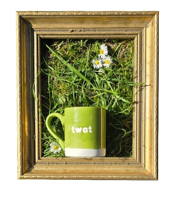 Explicitly Colourful Language Mugs by Iris &amp; Dora, Colour: green, Design: Twat