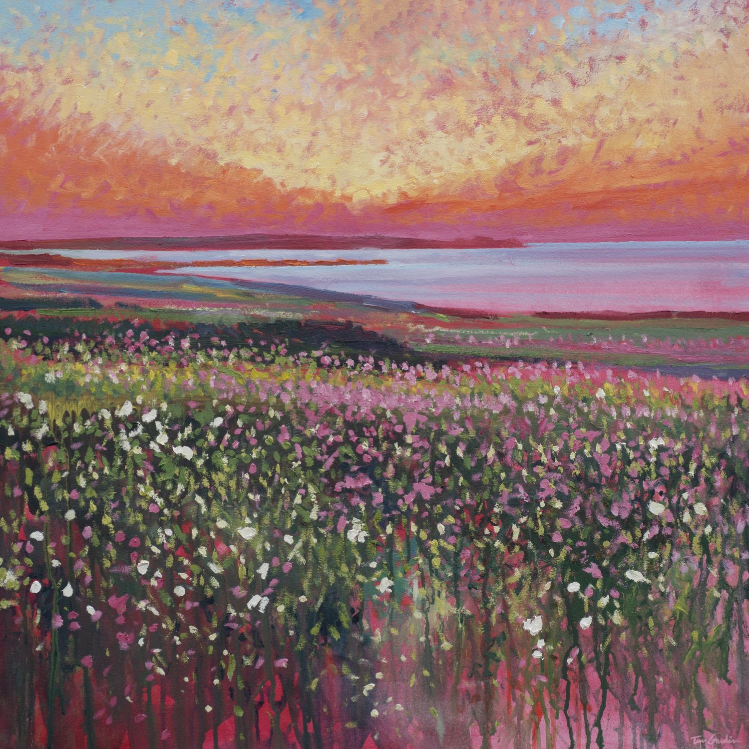 Fine Art Prints by Tim Gaudion, Size: 30cm x 30cm, Title: Lancresse Crimson Sky Red Campions and Wild Roses