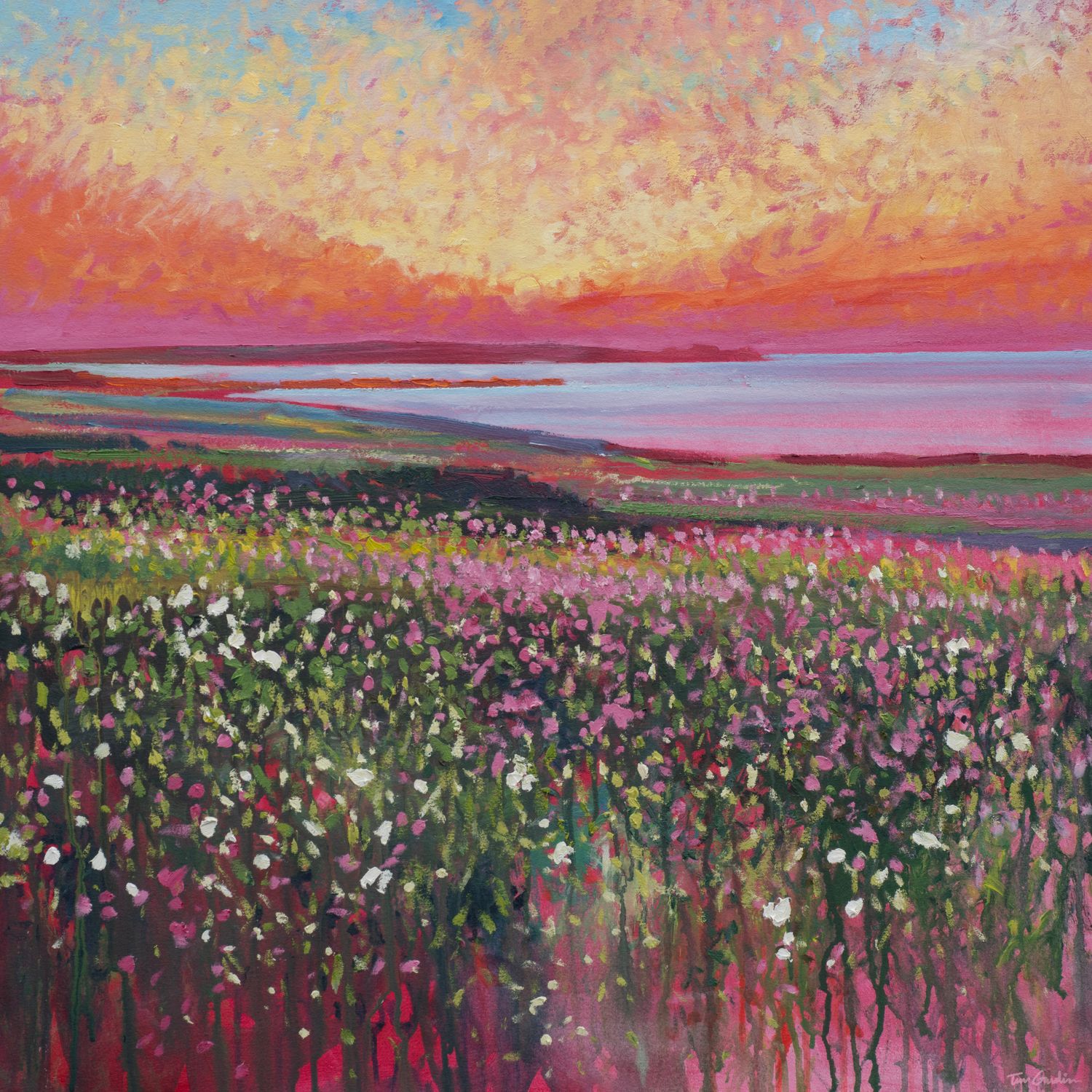 Fine Art Prints by Tim Gaudion, Size: 30cm x 30cm, Title: Lancresse Crimson Sky Red Campions and Wild Roses